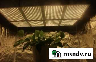 Фитолампа quantum board полный спектр 214 Вт Грозный - изображение 1