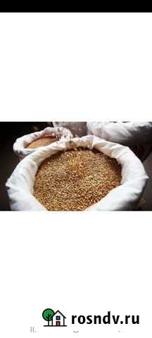 Зерно Старый Оскол - изображение 1
