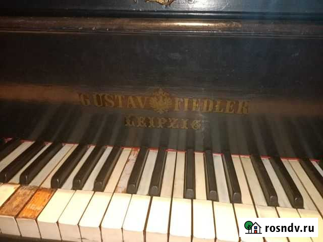 Рояль Чита - изображение 1