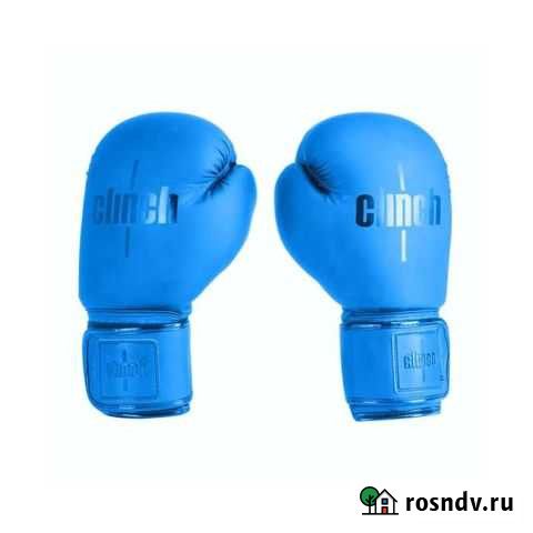 Боксерские перчатки Clinch mist синие Томск - изображение 1