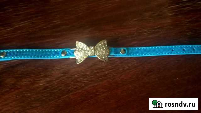 Ошейник со стразами Красногорск - изображение 1