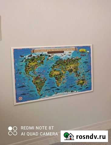 Карта мира с животными Киров - изображение 1