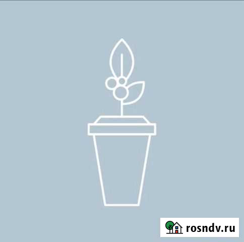 Кондитер Хабаровск - изображение 1