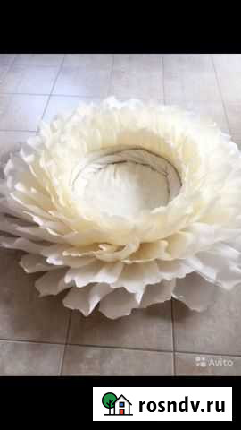 Цветок для фотосессии Смоленск - изображение 1