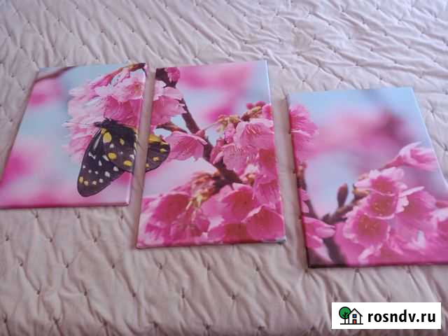 Полотно с изображением сакуры Ефремов - изображение 1