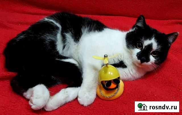 Красавица Ася Тамбов - изображение 1