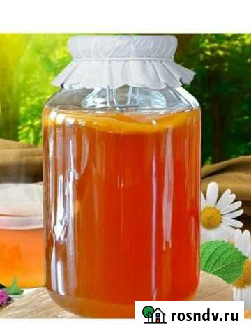 Чайный гриб Кемерово - изображение 1