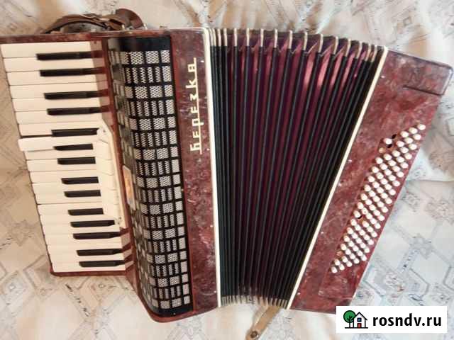 Аккордеон Берёзка Пенза - изображение 1