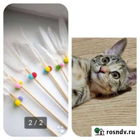 Игрушка для кошек (дразнилка) Балаково - изображение 1