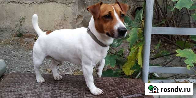 Вязка Ялта - изображение 1