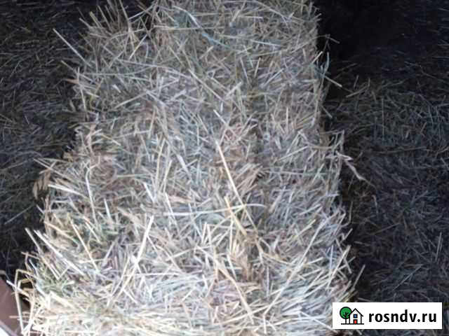 Сено Новомосковск - изображение 1