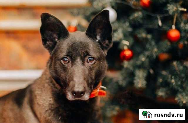 Почему меня никто не замечает Красногорск - изображение 1