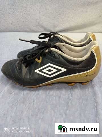 Бутцы Кострома - изображение 1