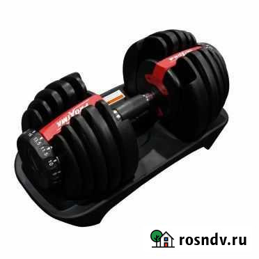 Регулируемая гантель proxima Gigant 24кг Хабаровск - изображение 1