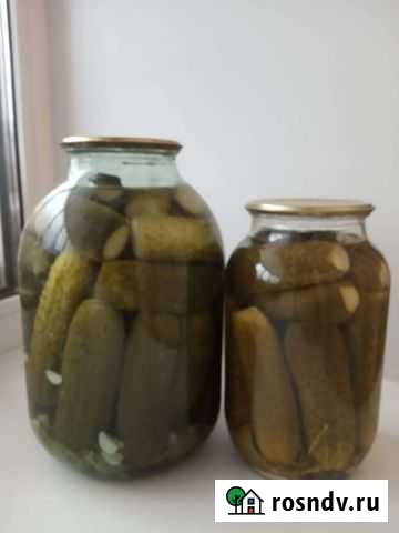 Огурцы соленые Липецк - изображение 1