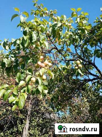 Подработка Киров - изображение 1