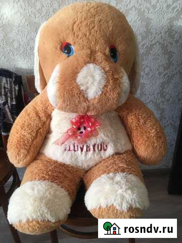 Медведь Новокузнецк - изображение 1