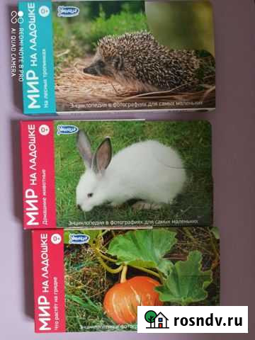 Карточки  Умница Мурманск - изображение 1