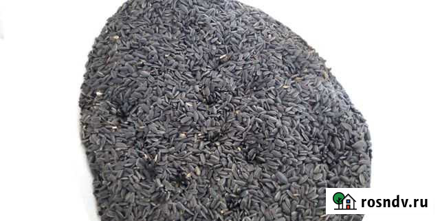 Семя подсолнечника Павловская - изображение 1