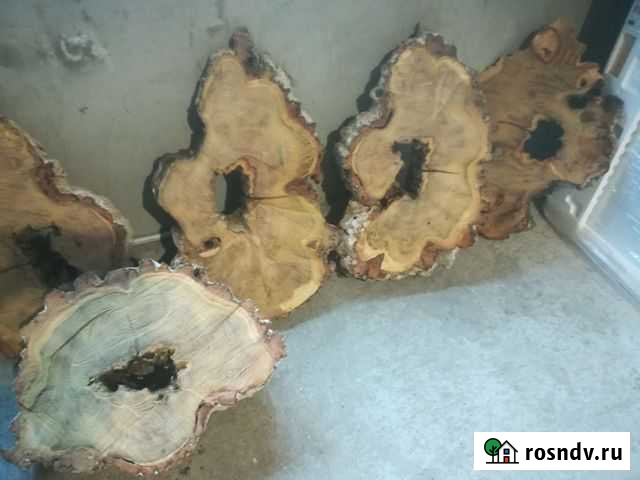 Спилы и пни дерева акации Симферополь - изображение 1