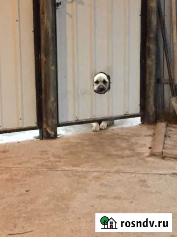 Сварочные работы.профилогиб Чехов - изображение 1