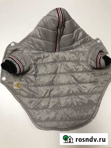 Одежда для маленьких собак Зеленоградск - изображение 1