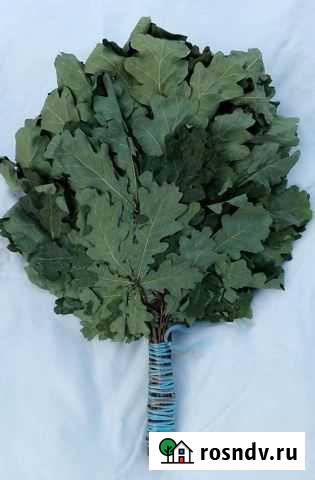 Дубовые веники для бани Ульяновск - изображение 1