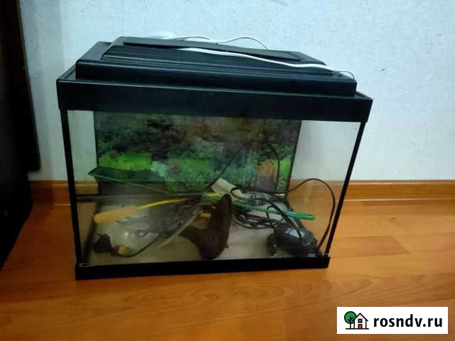 Аквариум Подольск - изображение 1