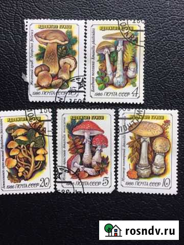 Марки Старый Оскол - изображение 1