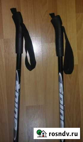 Палки лыжные алюминиевые Spine 125 Липецк - изображение 1