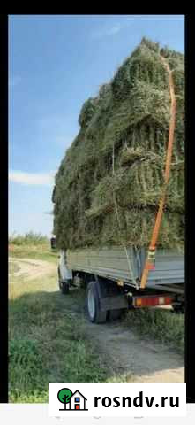 Квадратные тюки сена Острогожск - изображение 1