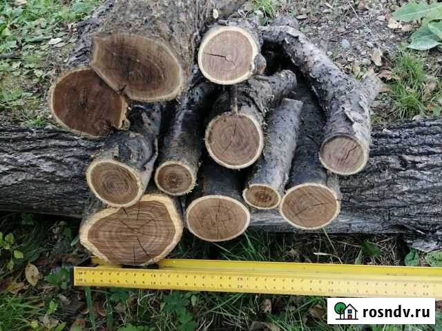 Акация для поделок Хабаровск - изображение 1