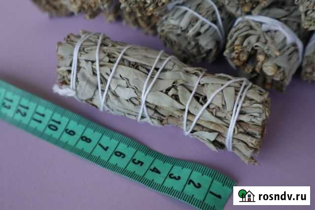 Шалфей Белый для окуривания средний р-р Петропавловск-Камчатский - изображение 1