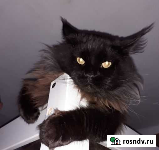 Вязка Нижний Новгород - изображение 1