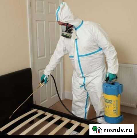 Уничтожение клопов и тараканов Новосибирск - изображение 1