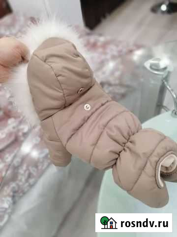 Зимний наряд для маленькой собачки Североморск - изображение 1