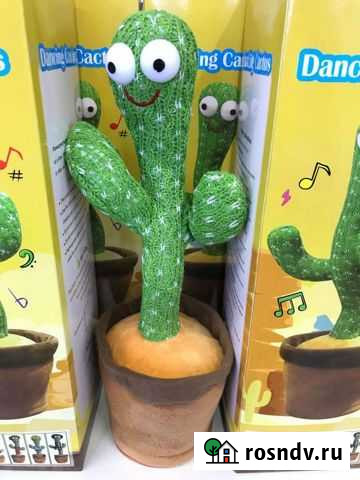 Танцующий кактус Набережные Челны - изображение 1