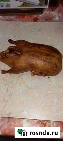 Холодное и горячее копчение Коржевский - изображение 1