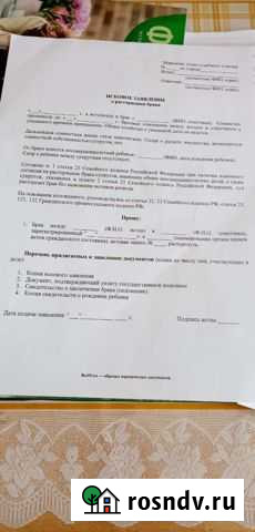 Исковое заявление о расторжении брака Зеленогорский - изображение 1