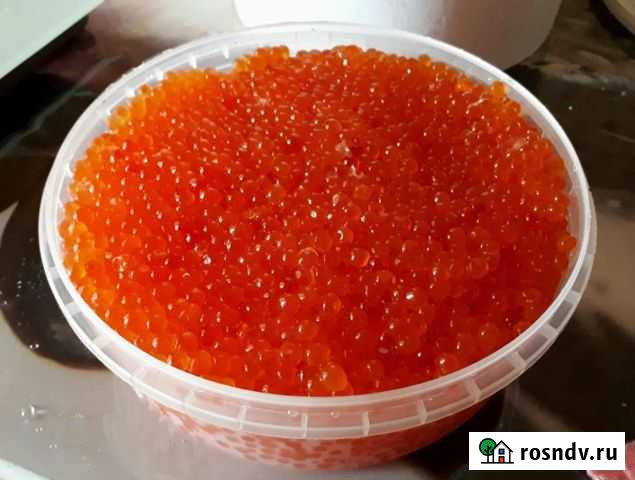 Икра красная Североморск - изображение 1