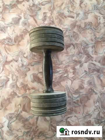 Гантеля 5 кг разборная Илек - изображение 1