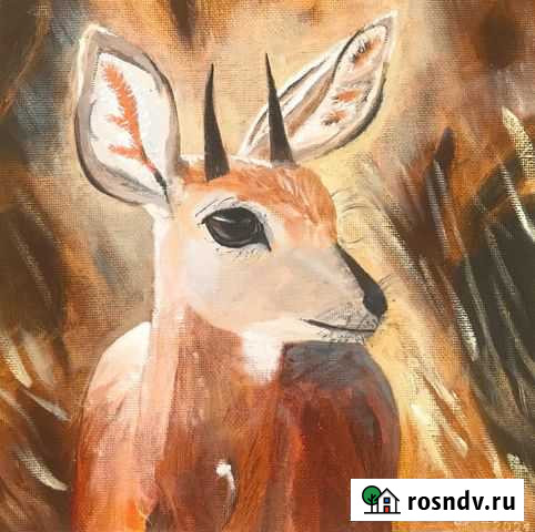 Антилопа картина маслом Благовещенск - изображение 1