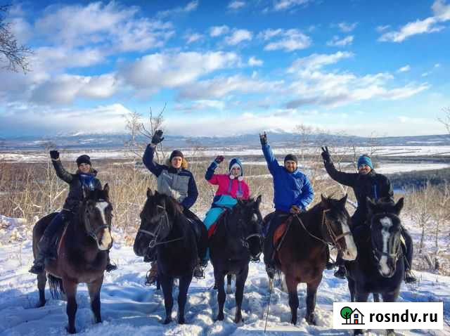 Прогулки верхом. Сани, карета Елизово - изображение 1