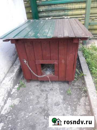 Квартира для собаки Ряжск - изображение 1