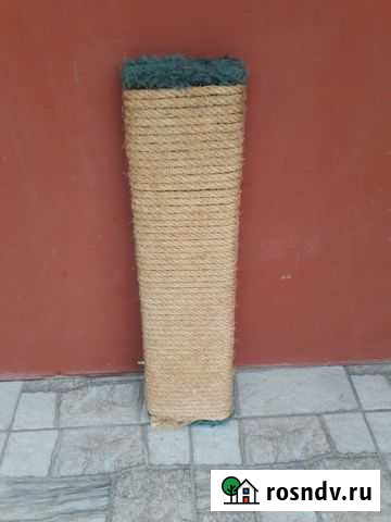 Когтеточка Евпатория - изображение 1