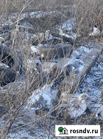 Индоути на мясо Отрадо-Кубанское - изображение 1