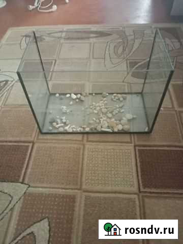 Аквариум Саратов - изображение 1