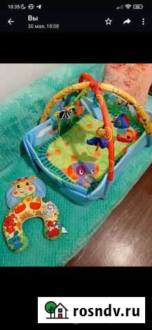 Развивающий коврик Благовещенск - изображение 1