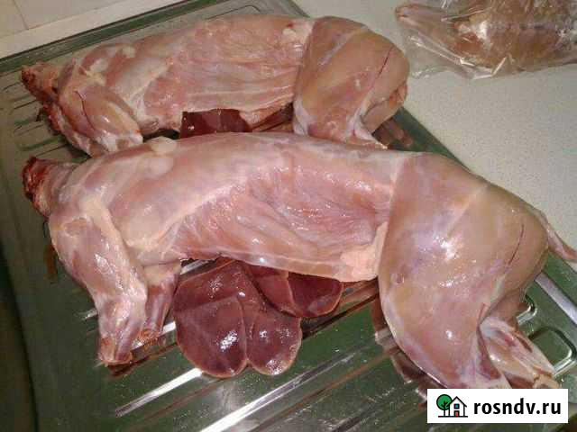 Мясо кролика Рыбинск - изображение 1