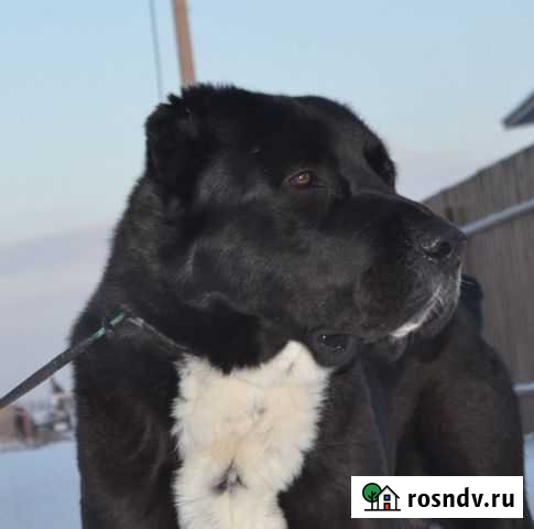 Для вязок Уфа - изображение 1